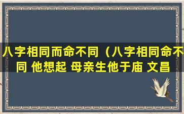 八字相同而命不同（八字相同命不同 他想起 母亲生他于庙 文昌）